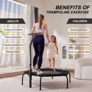 cn-11134207-7r98o-lyk8jue4i4c3c7.webp Trampoline Fitness Jumping Exercise With Armrest